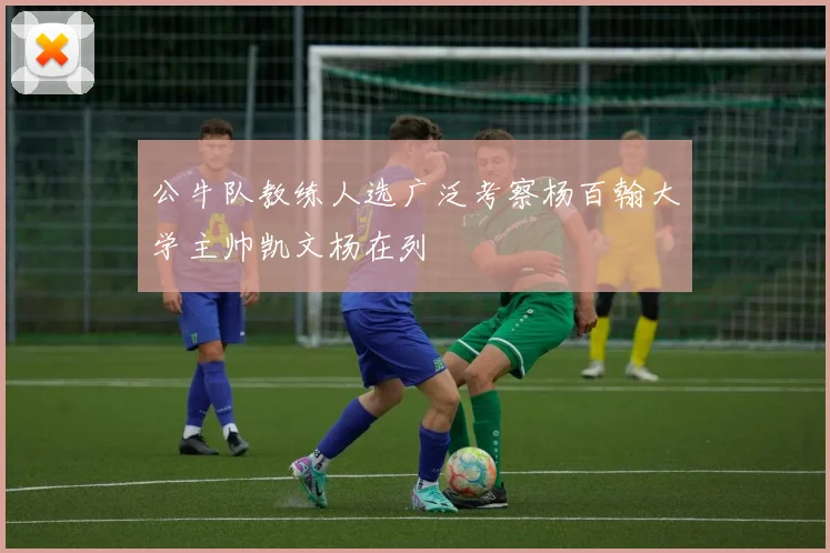 公牛队教练人选广泛考察杨百翰大学主帅凯文杨在列